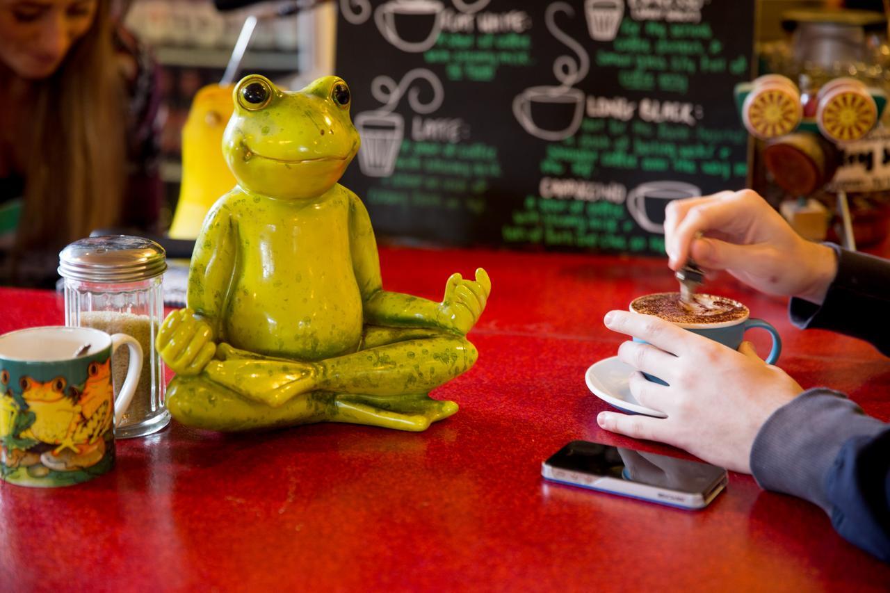 הוסטל הובארט The Pickled Frog מראה חיצוני תמונה