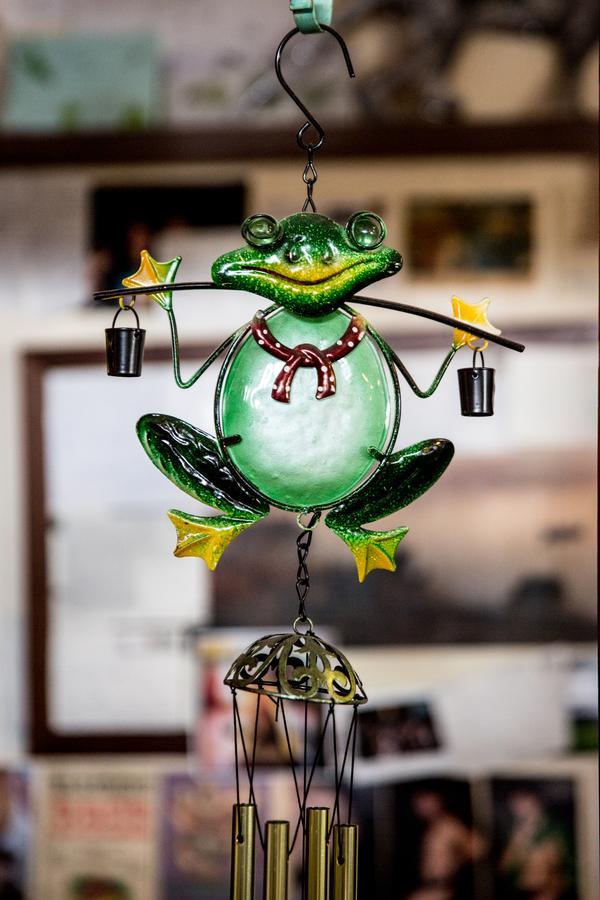 הוסטל הובארט The Pickled Frog מראה חיצוני תמונה